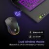 Portronics Toad One Bluetooth Mouse with 2.4 GHz & BT 5.3 Dual Wireless, 6 Buttons, Rechargeable, RGB Lights, Connect 3